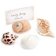 Seashell Escort Cards - Fairly Southern