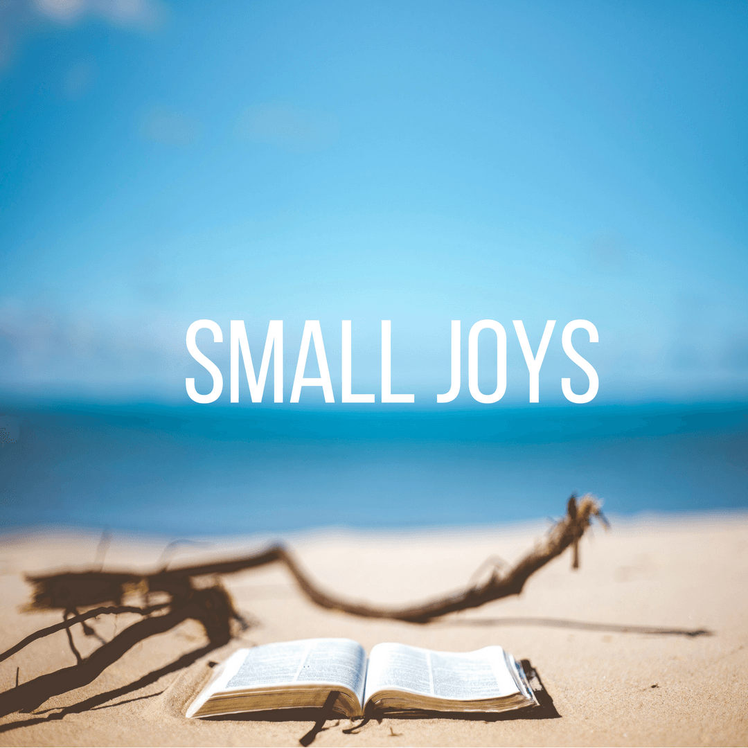 Small Joys: Volume 11