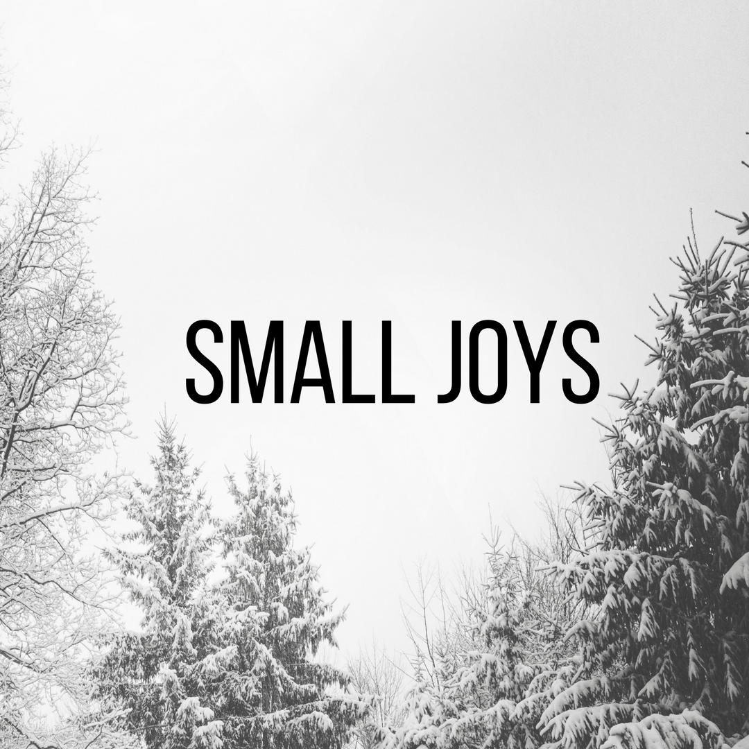 Small Joys: Volume 15