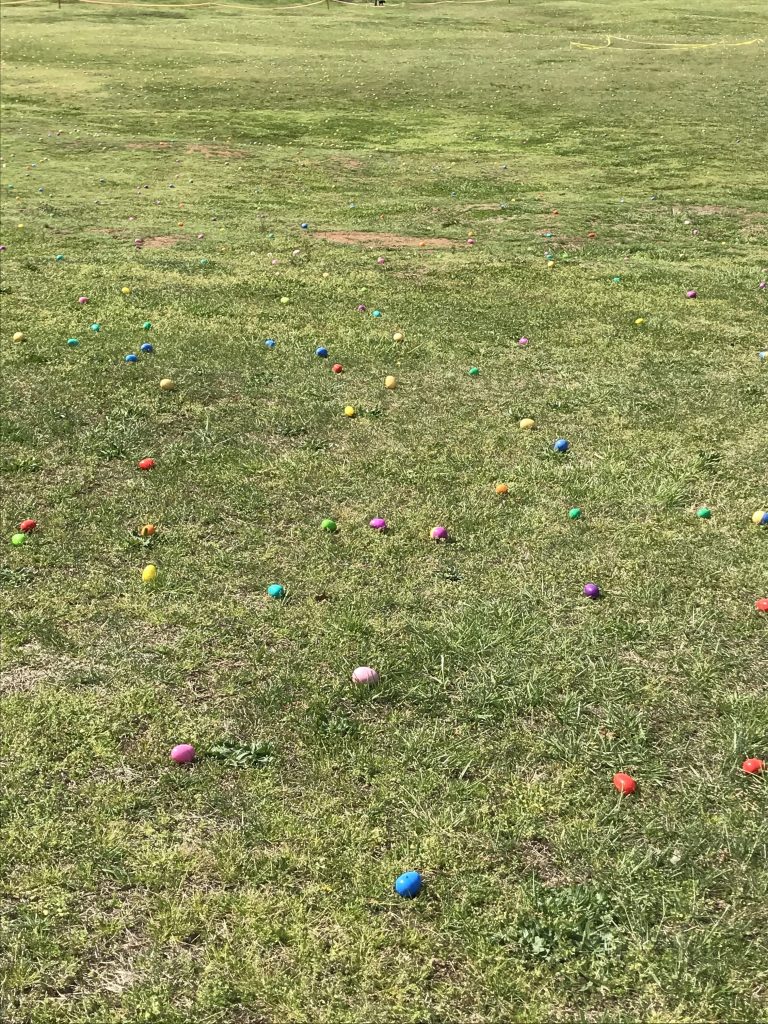 Adult Easter Egg Hunt at Dorothea Dix Park in Raleigh, NC | Fairly Southern