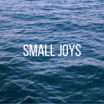 Small Joys | Fairly Southern