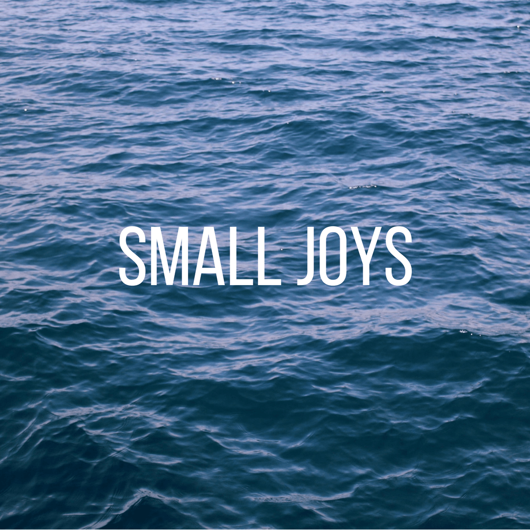 Small Joys: Volume 12