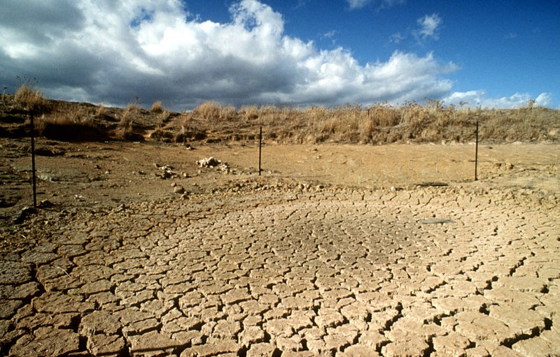 Drought - Why It's Important to be Eco-Friendly | Fairly Southern