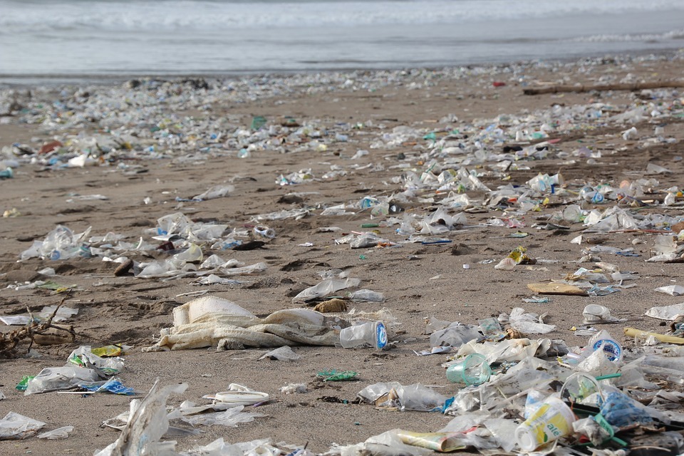 Plastic Pollution on Beach - Why It's Important to be Eco-Friendly | Fairly Southern