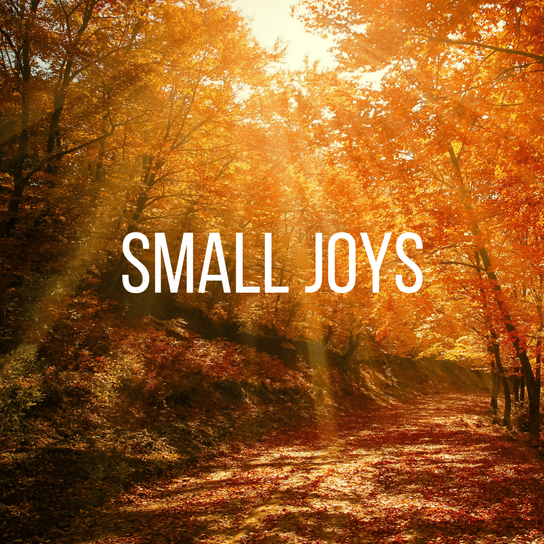 Small Joys: Volume 14
