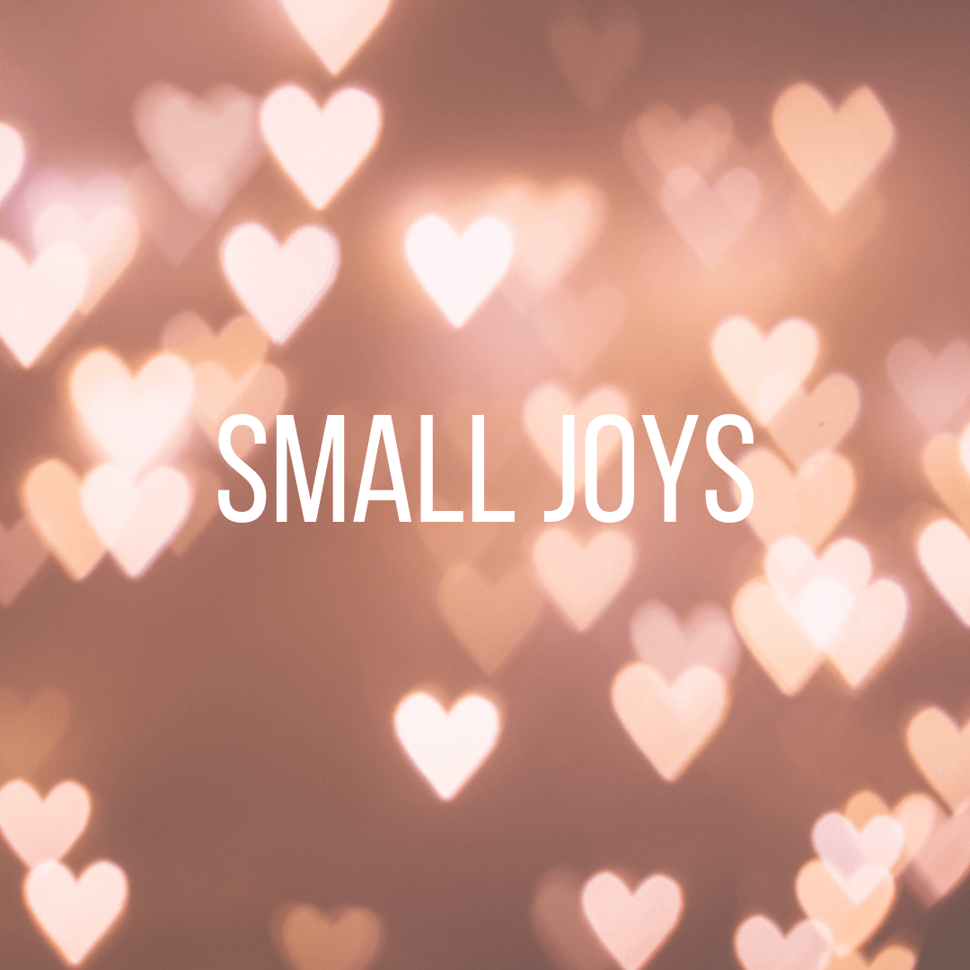 Small Joys: Volume 30