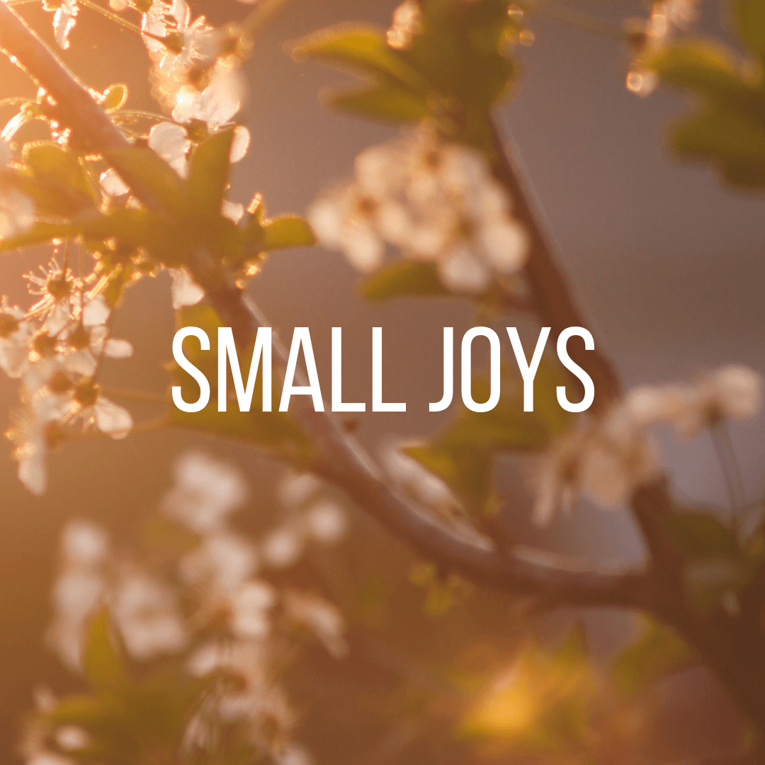 Small Joys: Volume 18