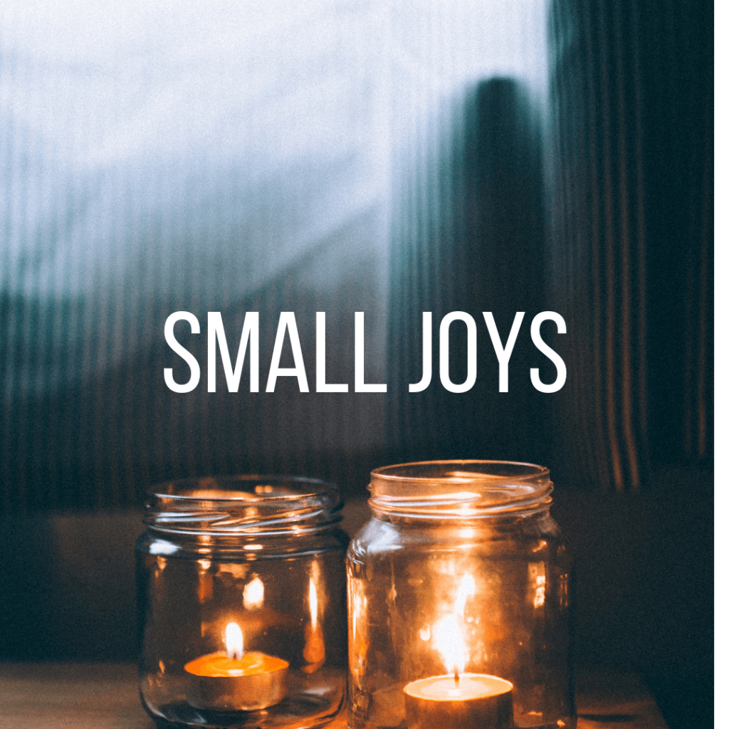 Small Joys  |  Fairly Southern