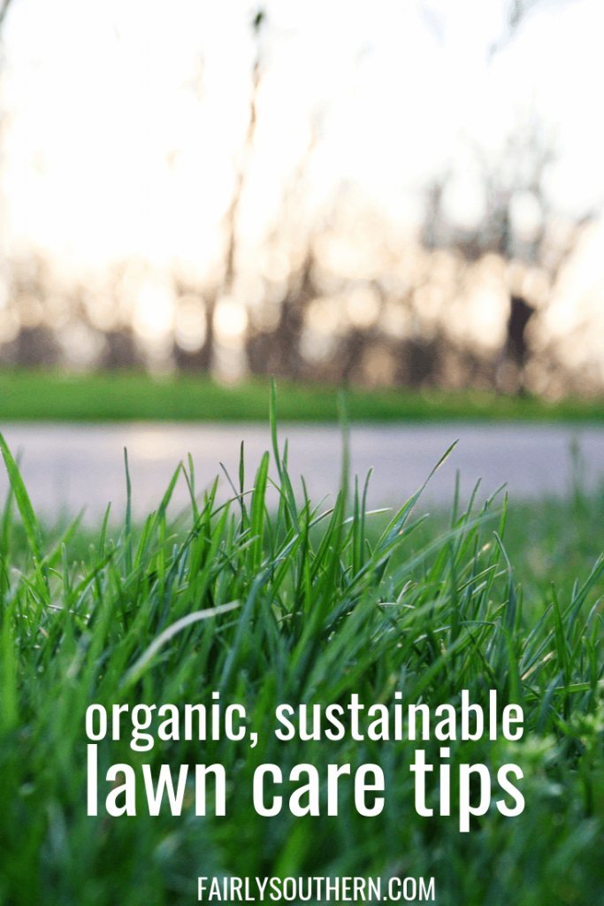 organic & sustainable lawn care tips | Fairly Southern