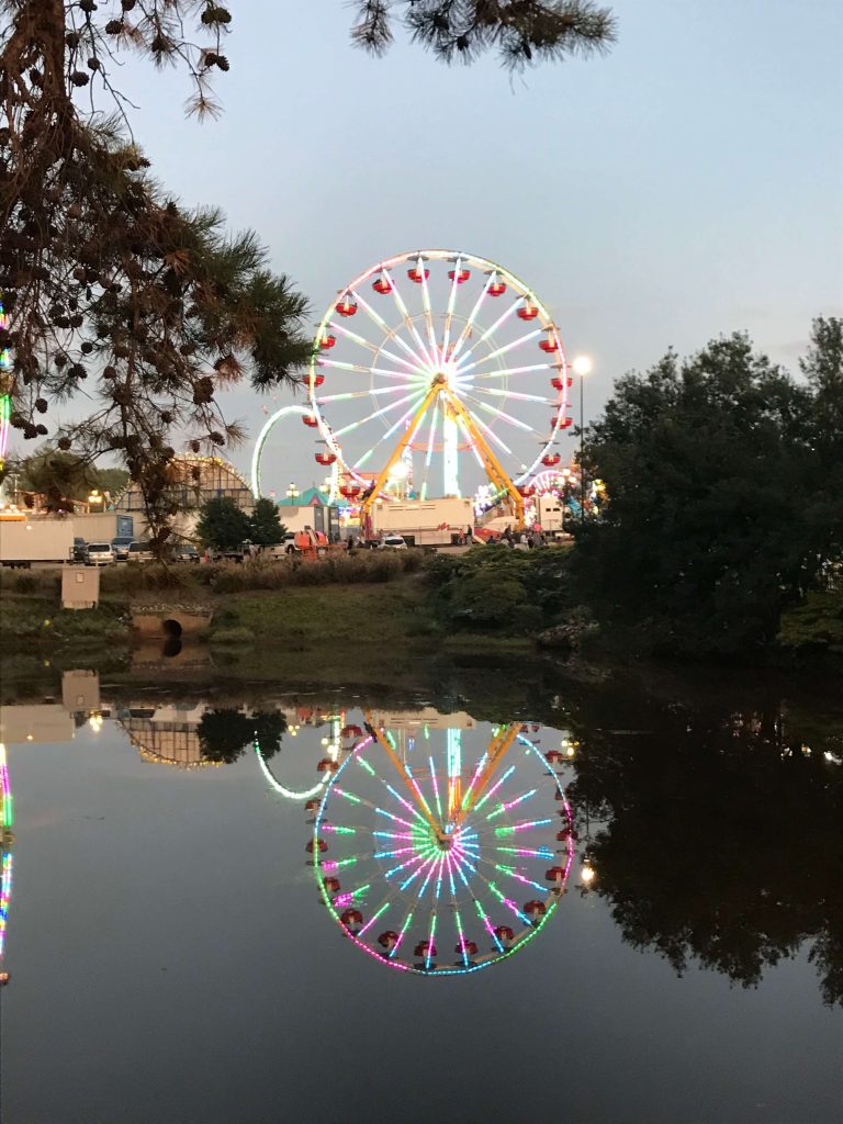 NC State Fair ferris wheel |  Fairly Southern