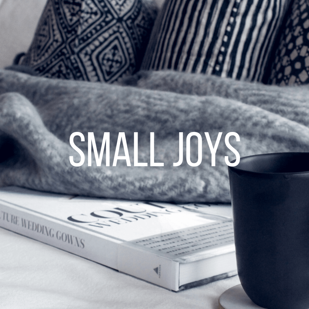 Small Joys: Volume 24