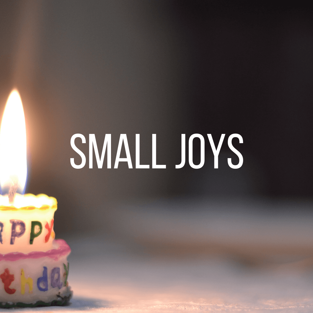 Small Joys: Volume 25