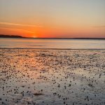Calibogue Sound Sunset in Hilton Head Island, South Carolina | Fairly Southern