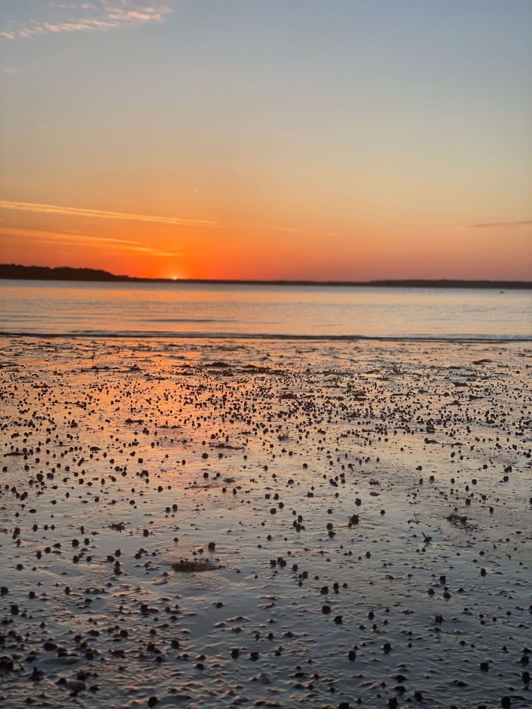 Calibogue Sound Sunset in Hilton Head Island, South Carolina | Fairly Southern