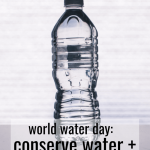 World Water Day: Conserve Water + Ditch Bottled Water. Water Isn't Trash, but Paying 600% More for a Bottle Definitely Is! | Fairly Southern
